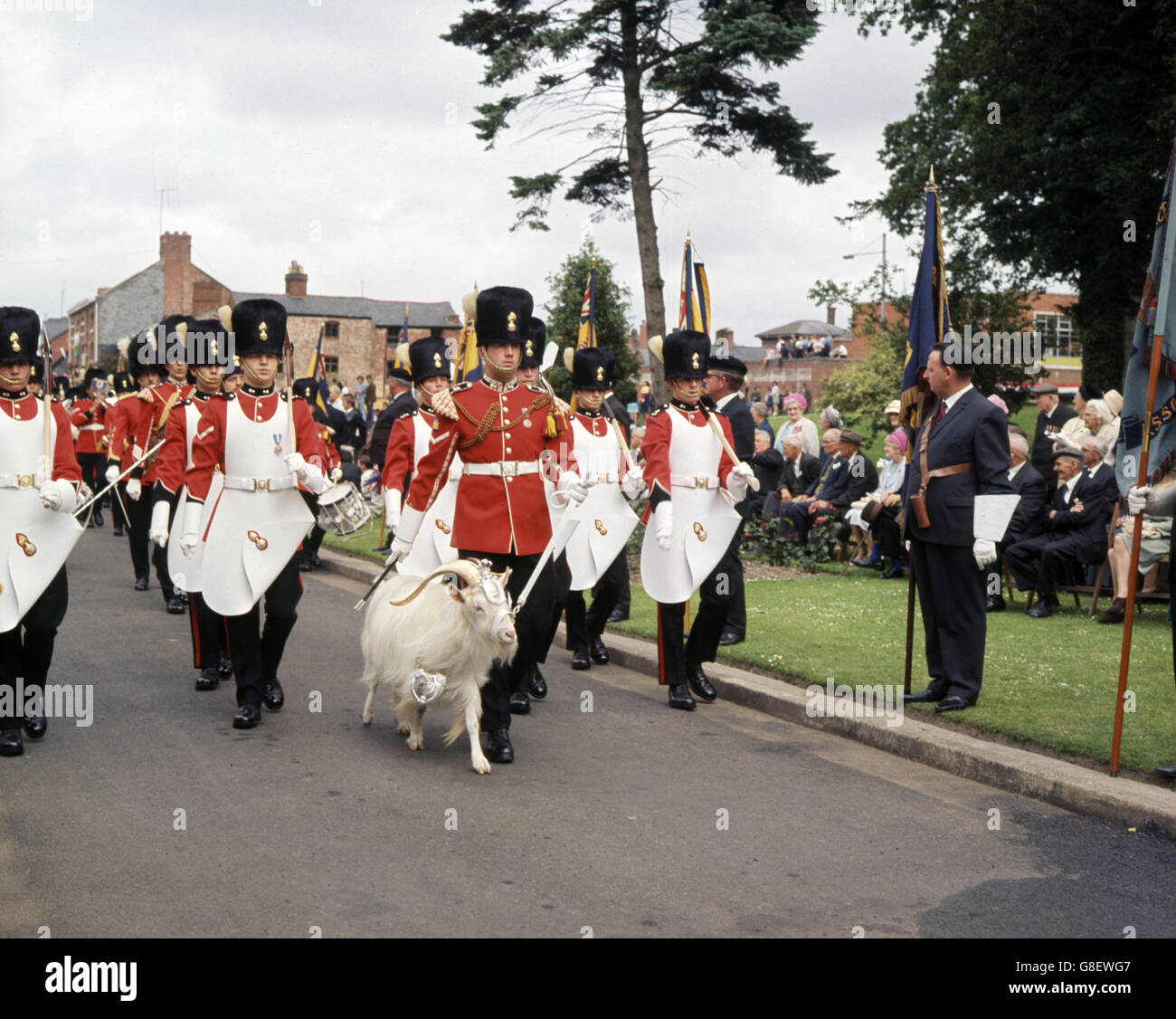 Das Royal Welsh Regiment marschiert mit ihrem Ziegenmaskottchen in Newtown, Montgomeryshire, Wales. Stockfoto