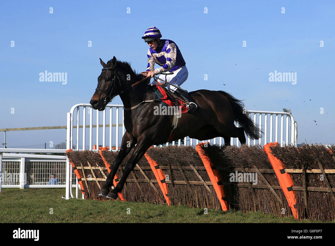 -Große militärische Goldschale Regattatag - Sandown Park Pferderennbahn Stockfoto