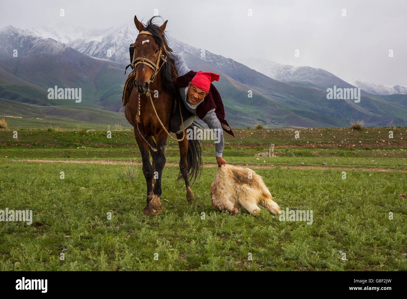 Nomad Reiter packt die Ziege Karkasse während der traditionellen Pferdespiele der Ulak Tartysh. Stockfoto