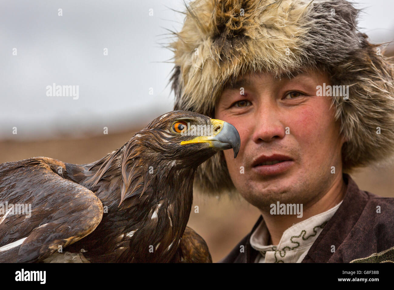 Steinadler und sein Trainer in Kirgisistan. Stockfoto