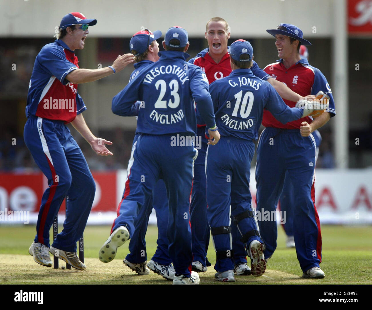 Cricket - The NatWest International Triangular Series - England / Australien - Edgbaston. Der englische Simon Jones (C) feiert, nachdem er den australischen Schlagmann Matthew Hayden LBW in die Falle geklatscht hat. Stockfoto