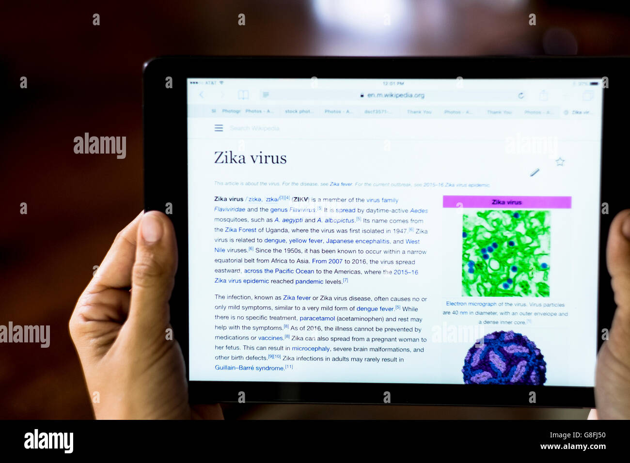 Eine junge Frau Hände halten eine iPad Erforschung der Zika-Virus auf der Wikipedia-Webseite... Closeup. Stockfoto