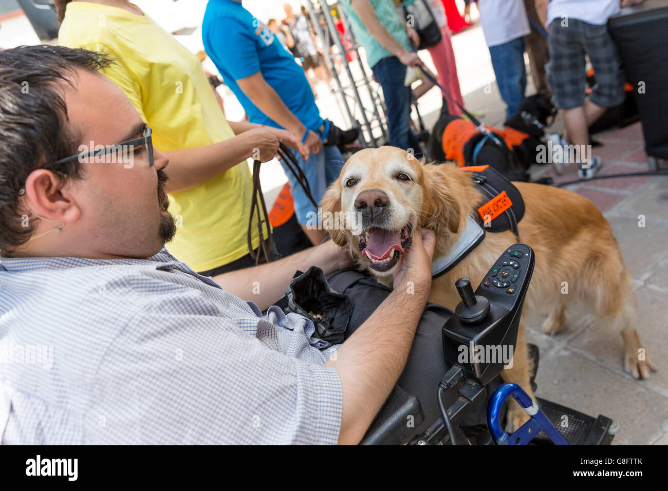 Sofia, Bulgarien - 21. Juni 2016: Ein Begleithund ist angezeigt bei einem Auftritt vor gegeben, eine Person mit einer Behinderung Stockfoto