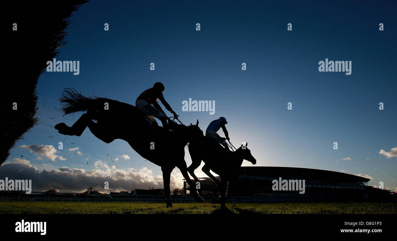 Tenor Nivernas geritten von Aidan Coleman auf dem Weg zum Sieg in der Winkworth Handicap Chase am ersten Tag des November Rennwochenendes auf der Ascot Rennbahn. Stockfoto