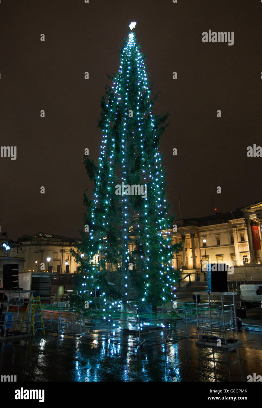 Die Lichter am Trafalgar Square Weihnachtsbaum werden während einer Zeremonie am Trafalgar Square, London, eingeschaltet. Stockfoto