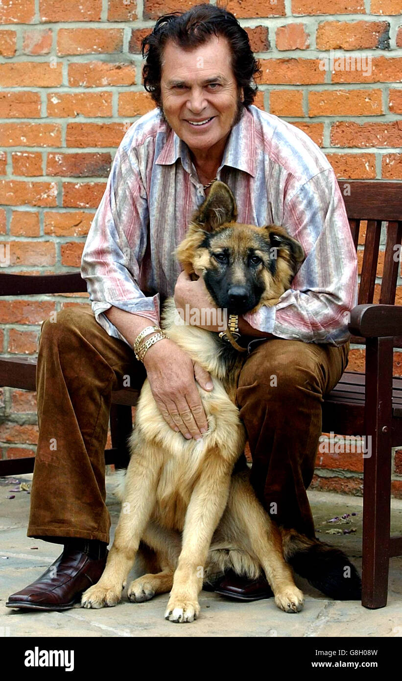 Engelbert Humperdinck wird in seinem Haus in Great Glen, Leicester, mit dem Schäferhund Tarnie wieder vereint. Sänger Humperdinck startete einen öffentlichen Appell um Hilfe bei der Suche nach seinem Hund, nachdem der sechs Monate alte Schäferhund aus seinem Haus geflohen war. Stockfoto