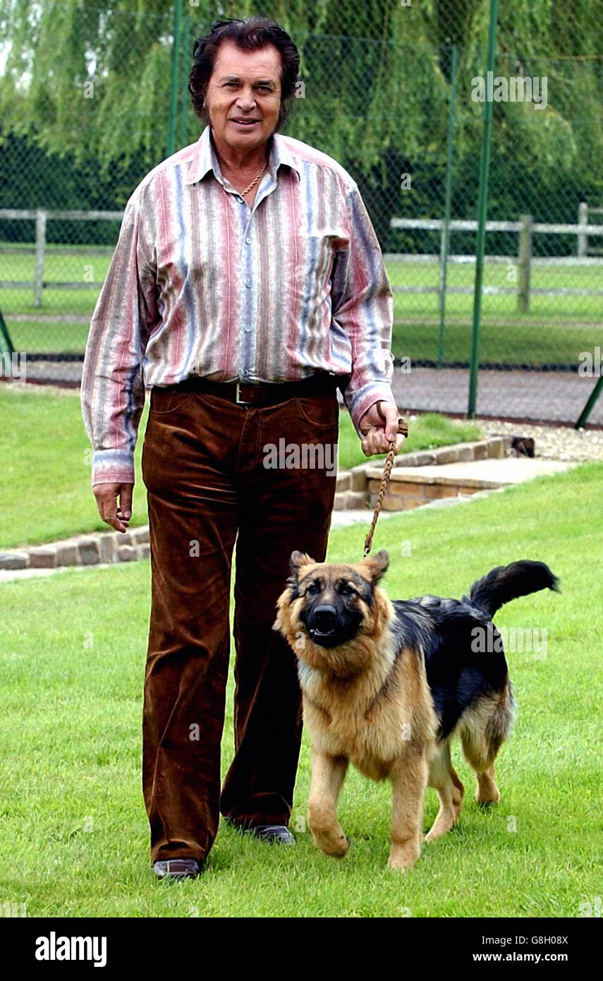 Engelbert Humperdinck wird in seinem Haus in Great Glen, Leicester, mit dem Schäferhund Tarnie wieder vereint. Sänger Humperdinck startete einen öffentlichen Appell um Hilfe bei der Suche nach seinem Hund, nachdem der sechs Monate alte Schäferhund aus seinem Haus geflohen war. Stockfoto