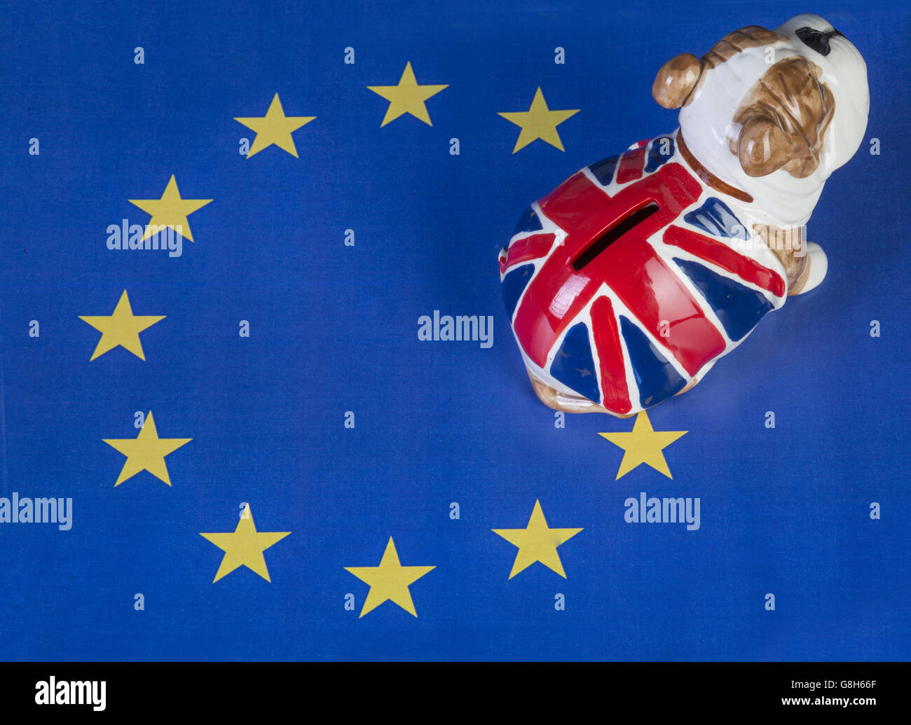 Britische Bulldogge verlassen der Europäischen union Stockfoto