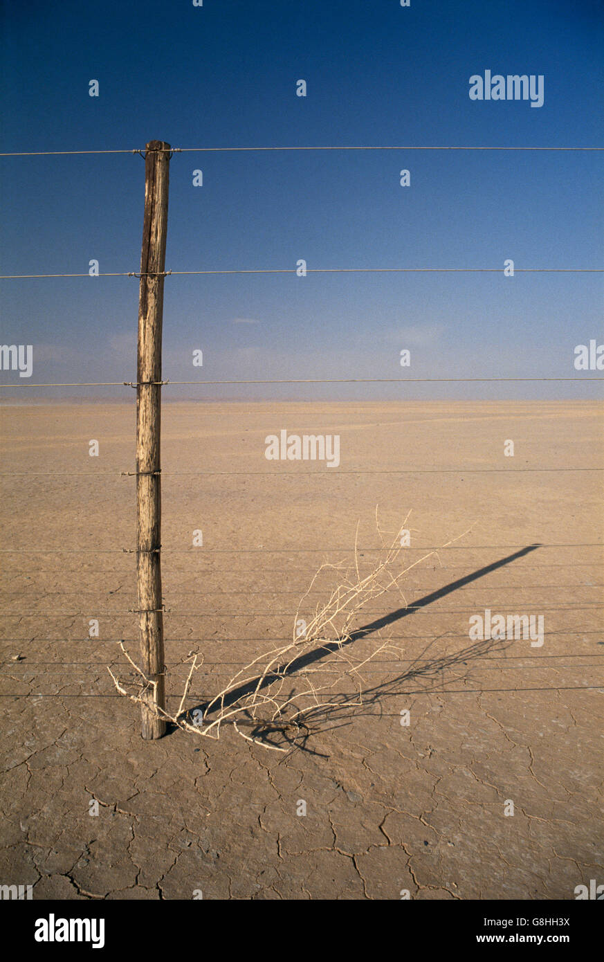 Drahtzaun in Pfanne, flache Wüste mit rissigen Boden, Kalahari-Wüste, Northern Cape, Südafrika. Stockfoto