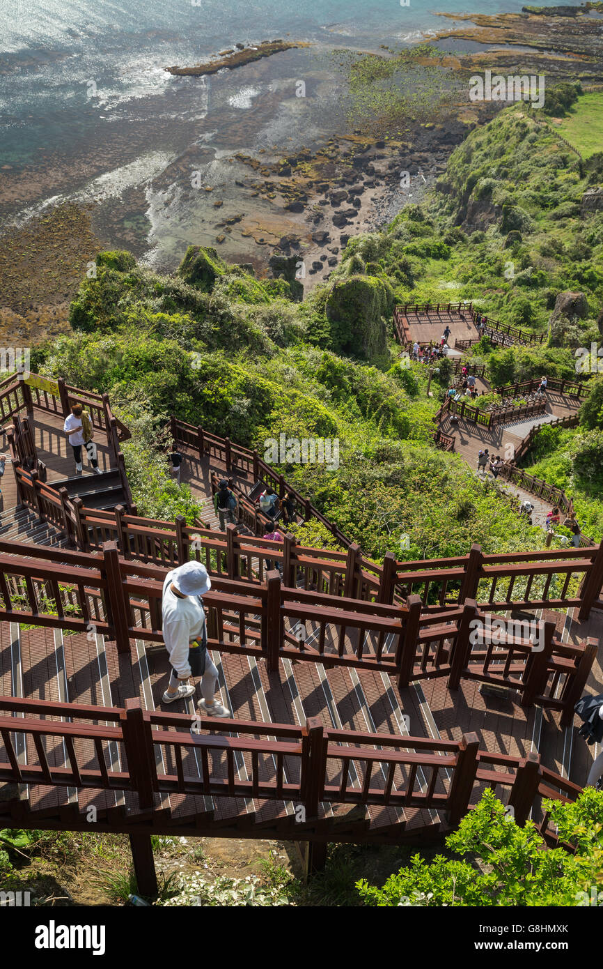 Blick auf Menschen bei Treppe von oben auf dem Seongsan Ilchulbong Gipfel auf der Insel Jeju in Südkorea. Stockfoto