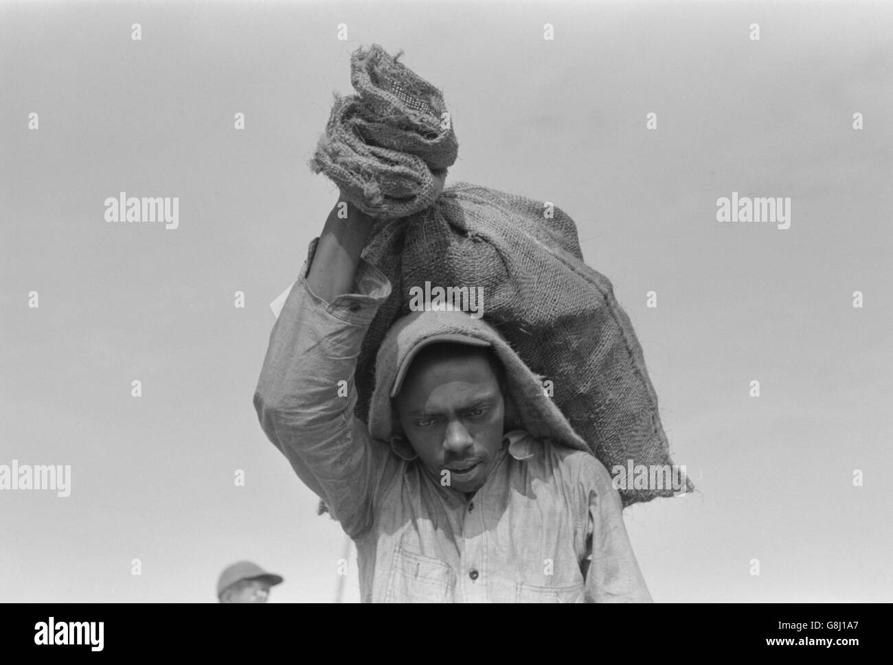 Schiffsbelader Sack Austern auf dem Rücken, Olga, Louisiana, USA, Russell Lee, September 1938 Stockfoto