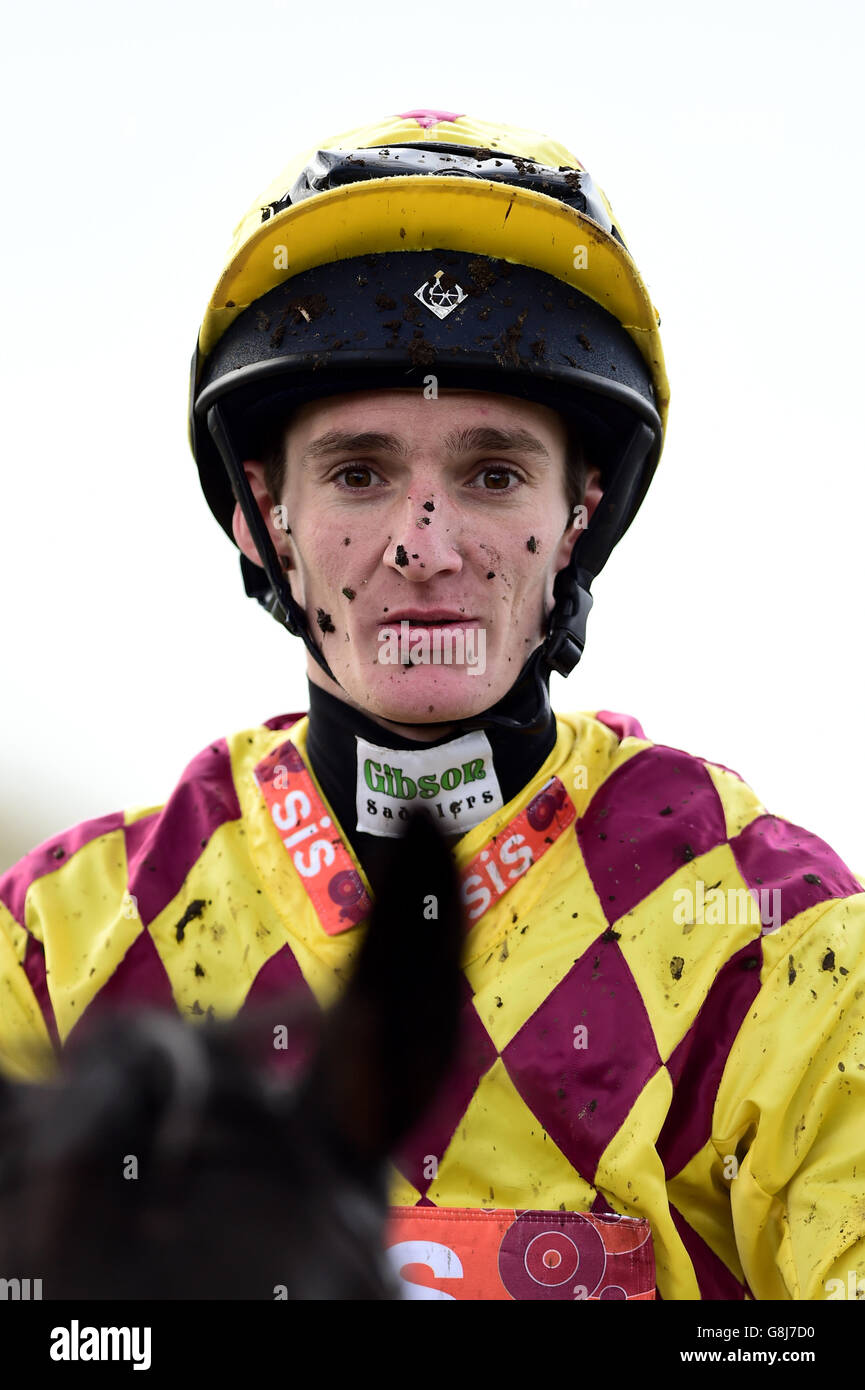 Fontwell Racecourse - Herbst Raceday Stockfoto