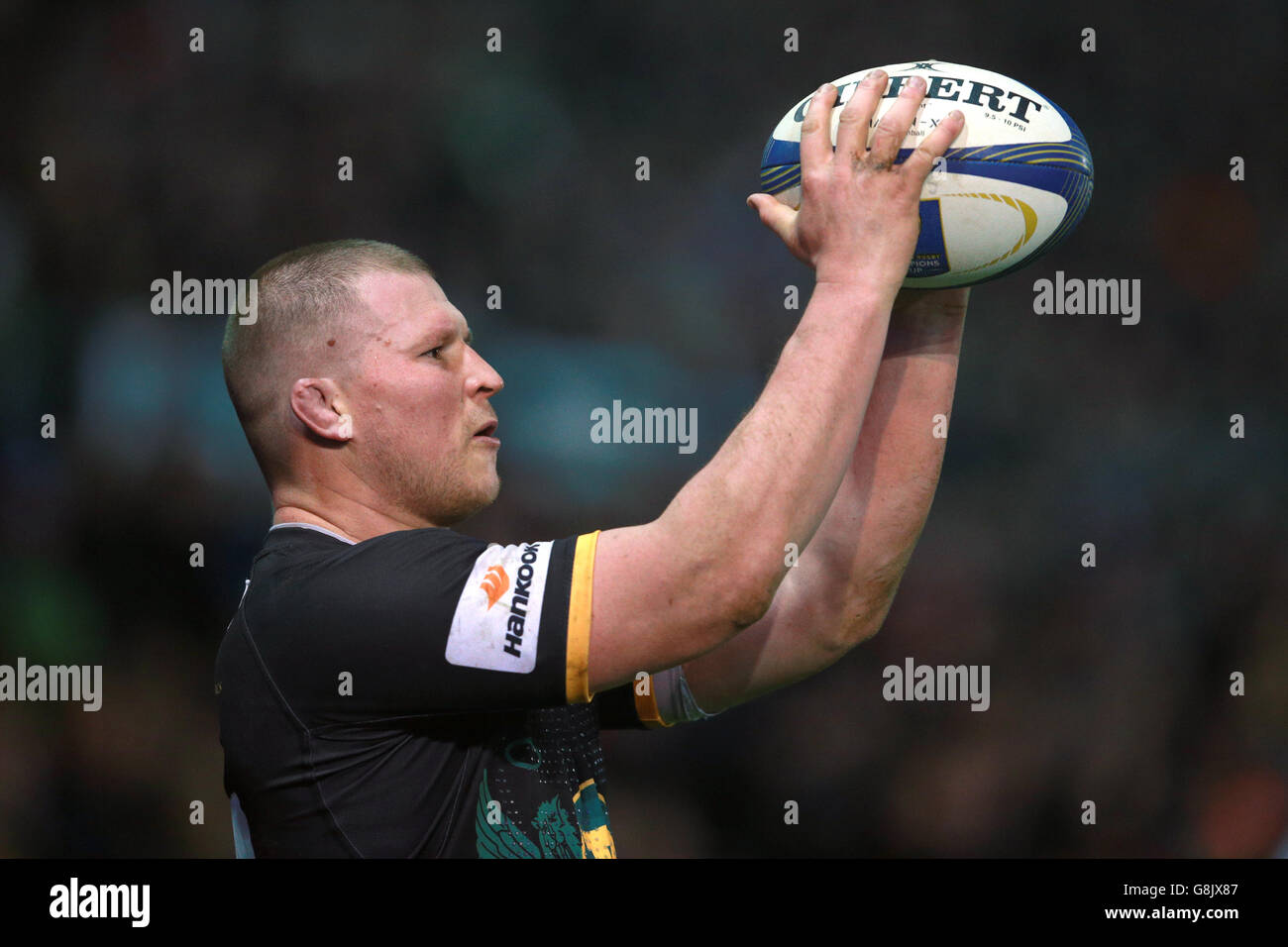 Northampton Saints V Glasgow Warriors - European Champions Cup - drei Pool - Franklin Gardens Stockfoto