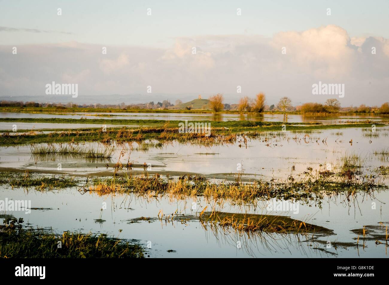 Die Morgensonne erhellt das Hochwasser in der Nähe von Burrowbridge und Burrow Mump, Somerset, wo die Pegel nach heftigem Regen mit Wasser bedeckt sind, mit mehr Prognosen über Teile des Vereinigten Königreichs. Stockfoto