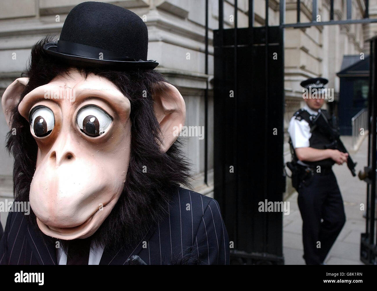 Vor der Downing Street steht ein gut gekleideter Affe der British Union for the Abolition of Vivisection (BUAV). Stockfoto