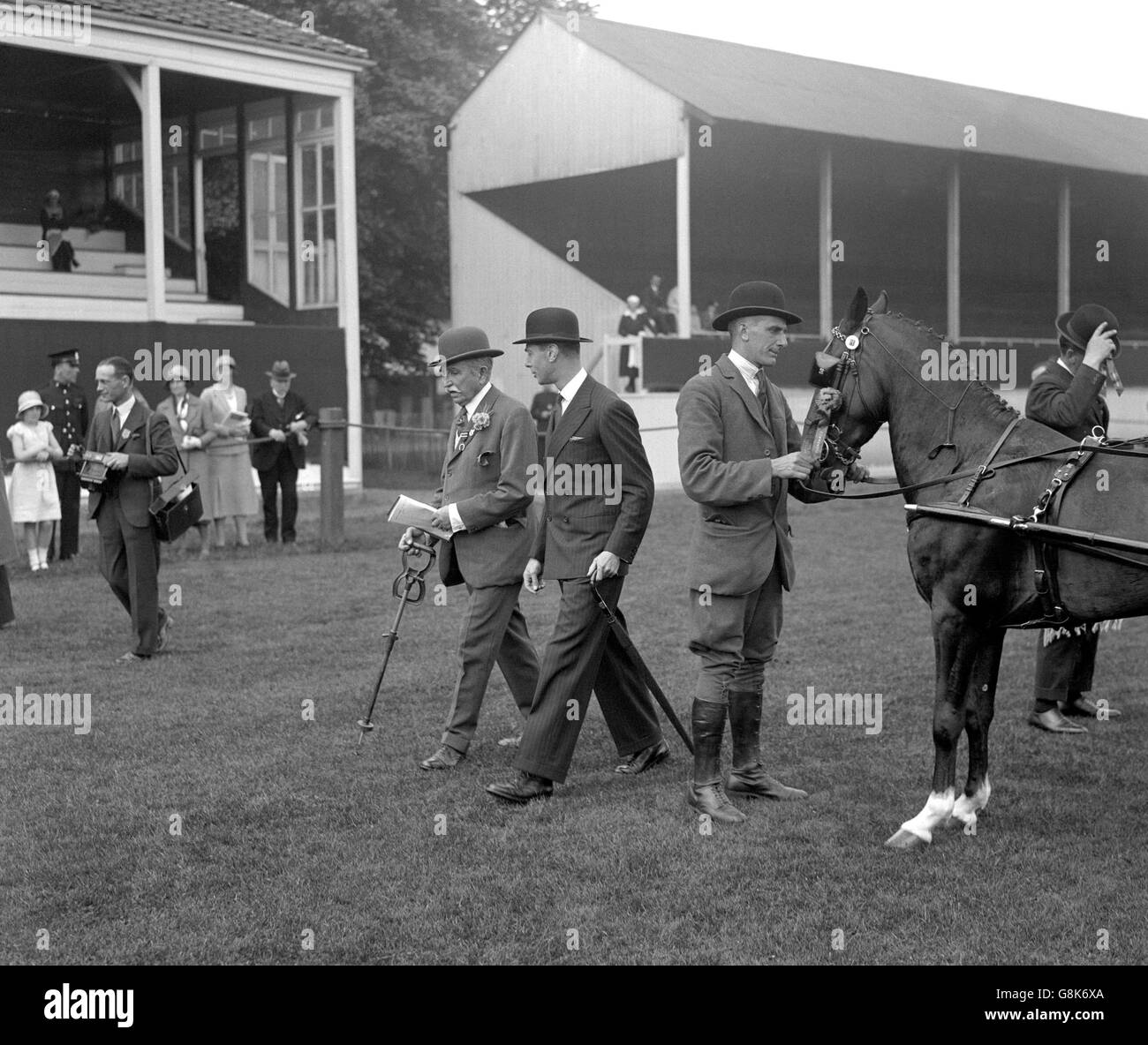 Der Herzog von York mit Romer Williams, der die Harness Ponys auf der Richmond Horse Show inspiziert. Stockfoto