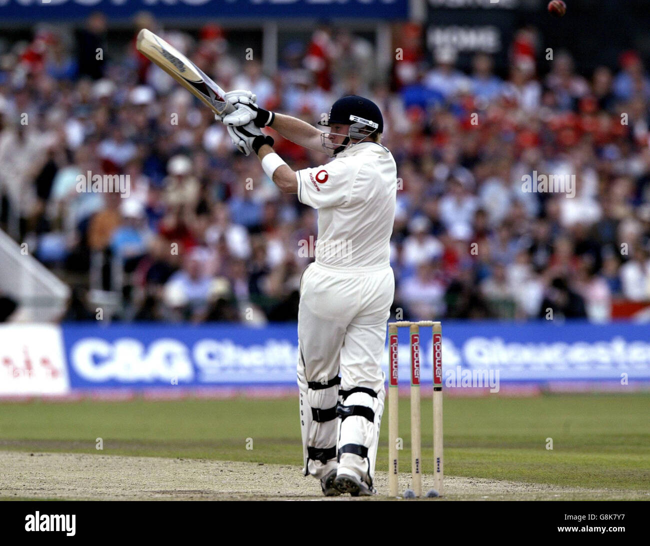 Englands Ian Bell wird von einem versuchten Hakenschuss erwischt. Stockfoto