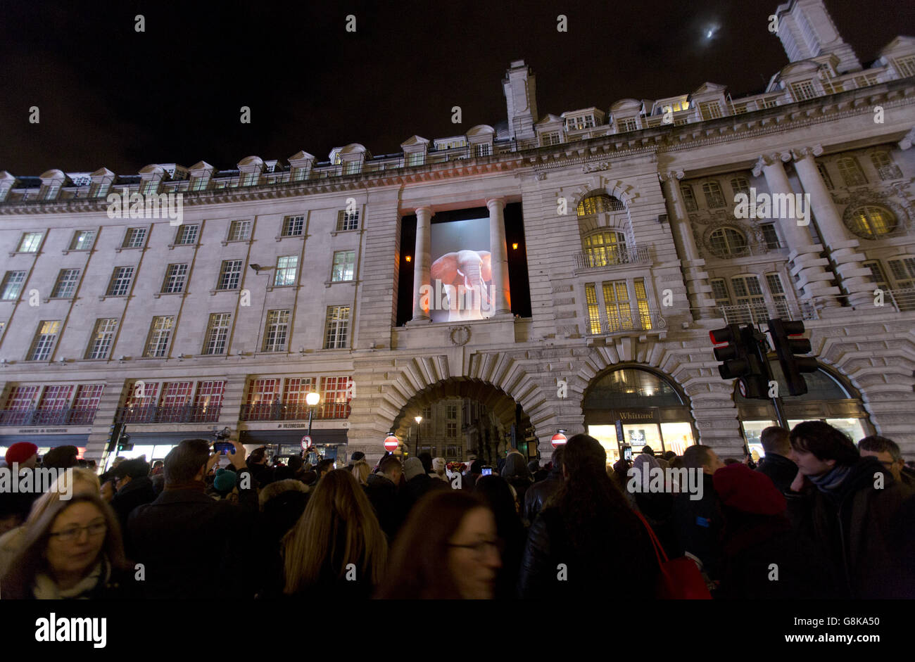 Kunstinstallation 'Elephantastic' von Catherine Garret/Top la Design above Regent Street, London, im Rahmen des Lumiere London Light Festivals. Stockfoto