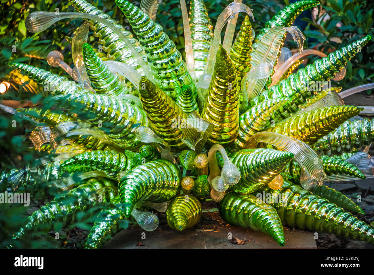 "Green Hornet und Wassertropfen" Glas-Skulptur von Dale Chihuly im Atlanta Botanical Garden Chihuly im Garten-Ausstellung. Stockfoto