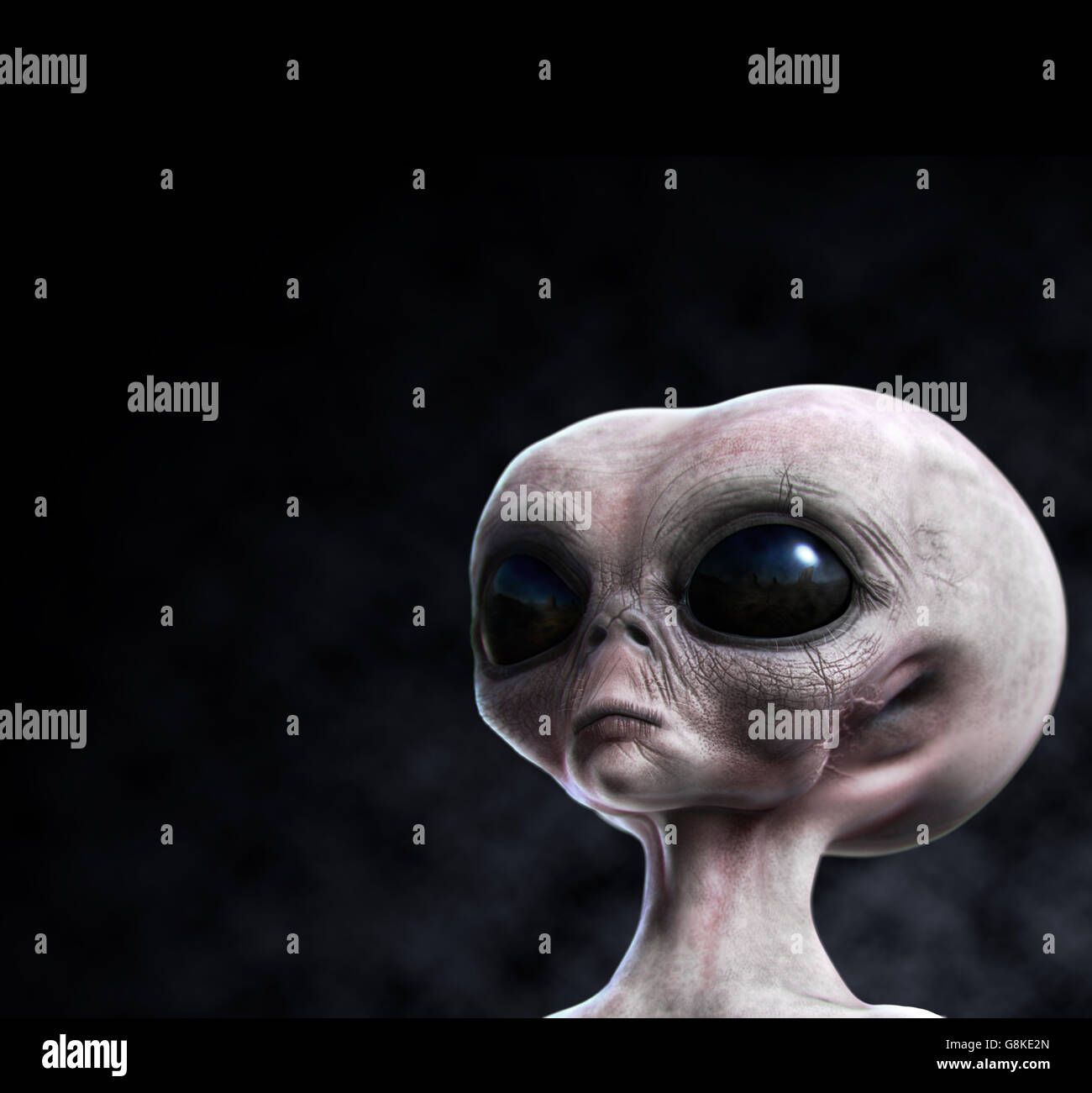 Grauen alien Portrait mit Zusammensetzung. Stockfoto