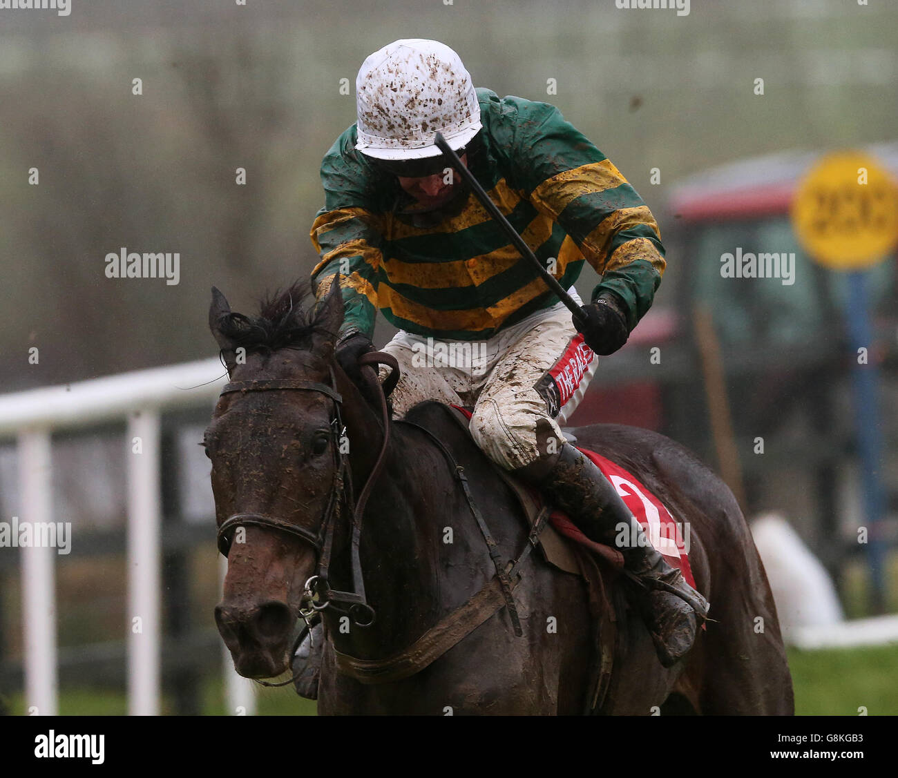 Rathpatrick von Barry Geraghty geritten Rennen frei von den letzten auf dem Weg zum Gewinn der Pertemps Handicap Hürde (Qualifier) während der Boylesports Tied Cottage Chase Day auf Punchestown Racecourse, County Kildare. Stockfoto