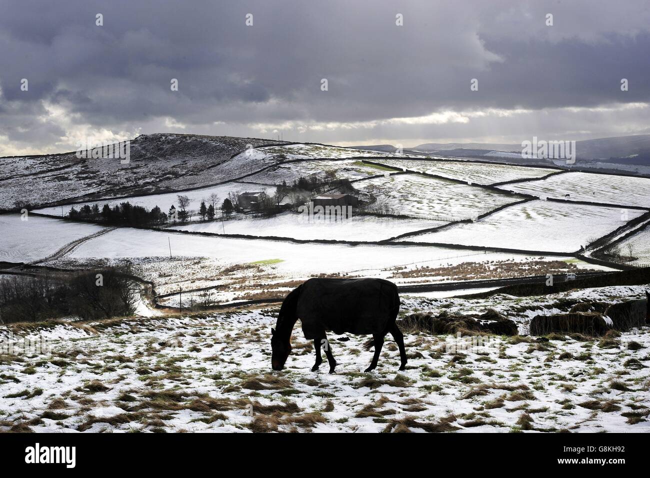 Schneefälle brachten winterliche Bedingungen zurück in Teile von Großbritannien, als Nachtschnee den Snake Pass im Peak District, Derbyshire, schloss, machte es für Pferde schwierig, auf den Hügeln zwischen Glossop und Buxton Gras zu finden. Stockfoto