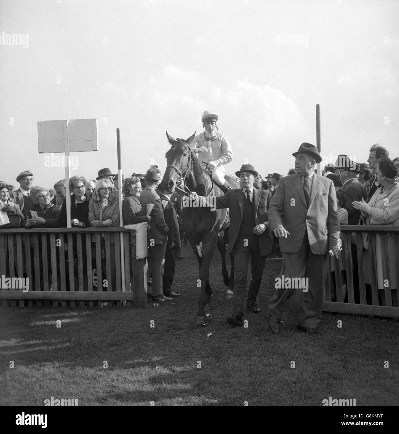 Cesarewitch-Sieger Boismoss, mit Lehrling Ernie Johnson im Sattel, wird nach seinem Sieg bei Newmarket angeführt. Der Gewinner ist im Besitz von John Gordon-Spriggs, einem Textilhersteller aus Leicester. Stockfoto