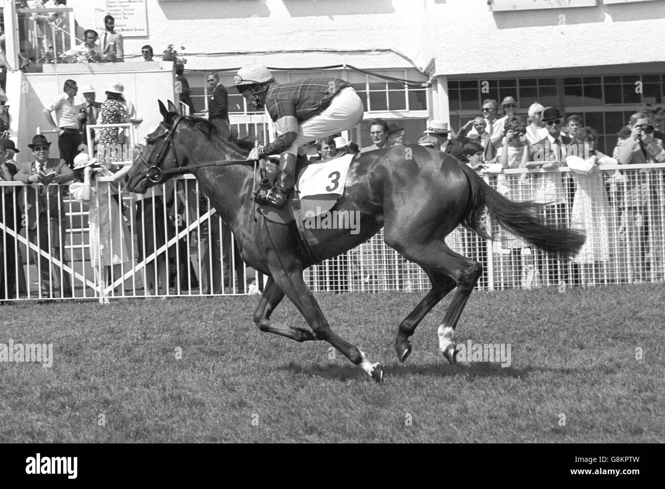 Oaks Stakes bei Epsom. Lester Piggott auf dem Circus Plume in Epsom, wo sie die Gold Seal Oaks Stakes gewonnen haben. Stockfoto