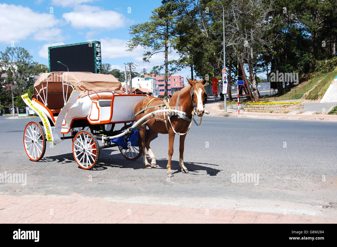 Ein Pferdewagen auf der Straße. Stockfoto