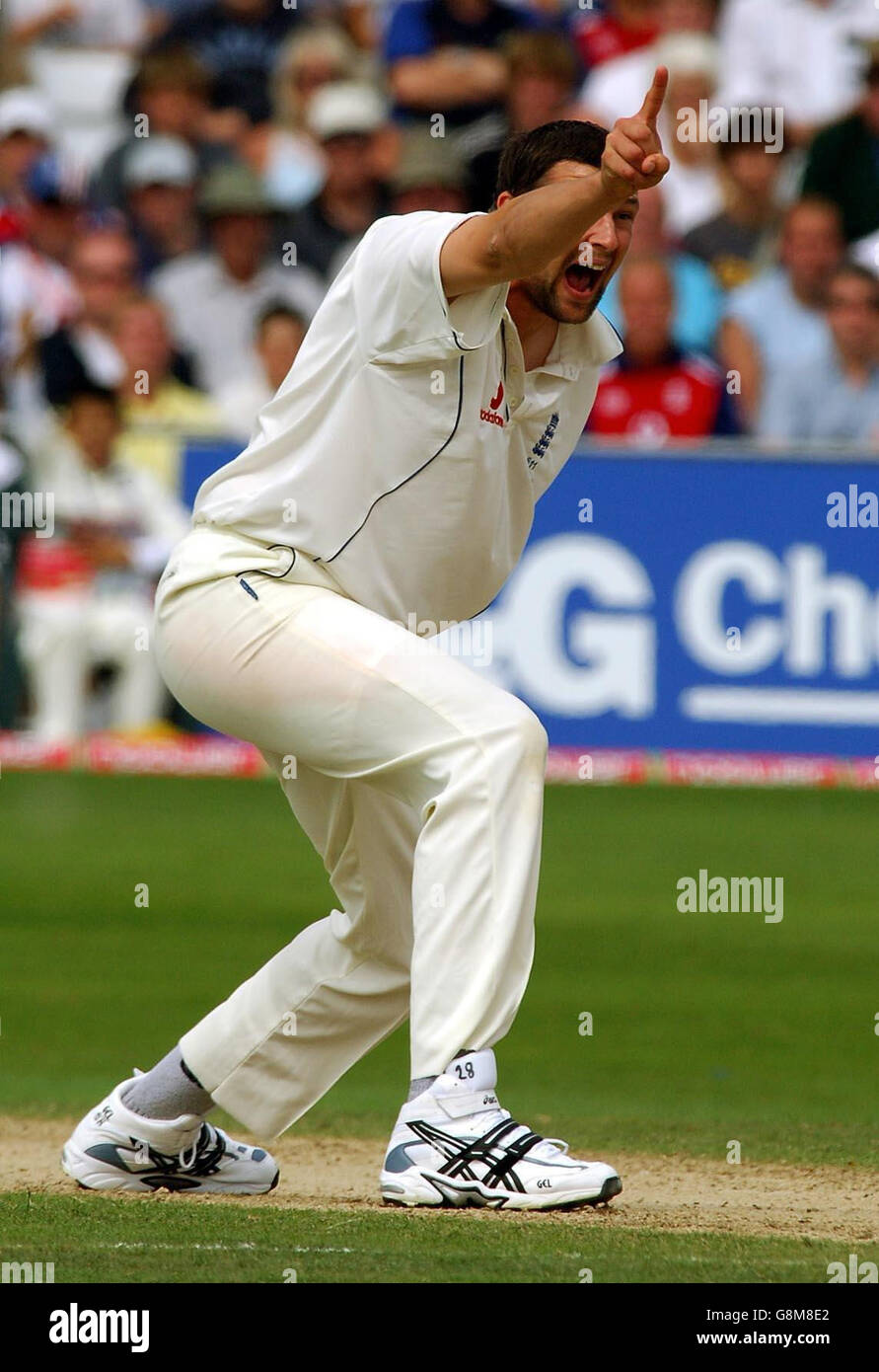 Der englische Stephen Harmisson appelliert am vierten Tag des vierten npower-Test-Spiels in Trent Bridge, Nottingham, Sonntag, 28. August 2005, erfolgreich für das Wicket des australischen Smon Katich. DRÜCKEN Sie VERBANDSFOTO. Bildnachweis sollte lauten: Rui Vieira/PA. Stockfoto