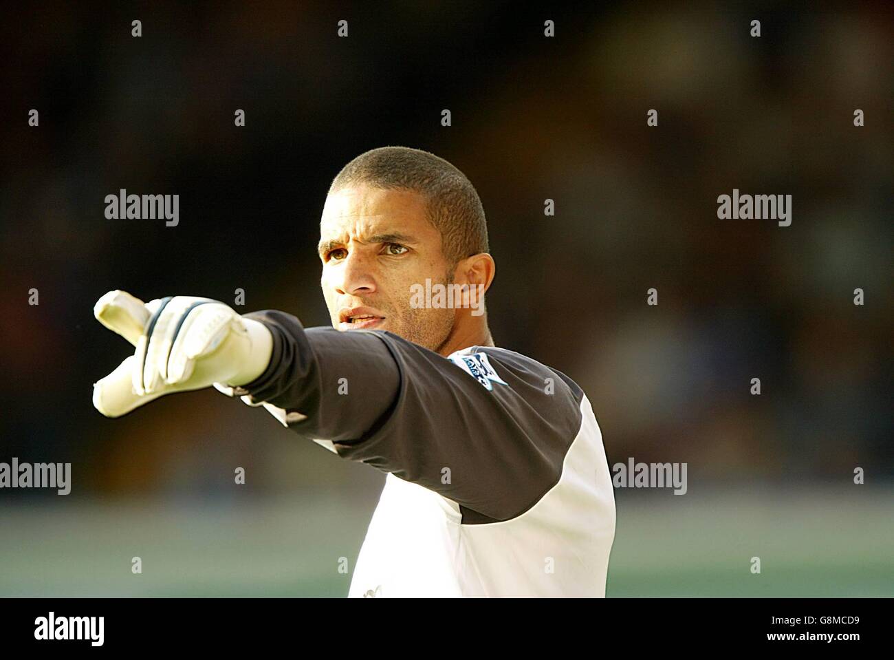 Fußball - FA Barclays Premiership - Birmingham City / Manchester City - St Andrews. David James, Torwart von Manchester City. Stockfoto