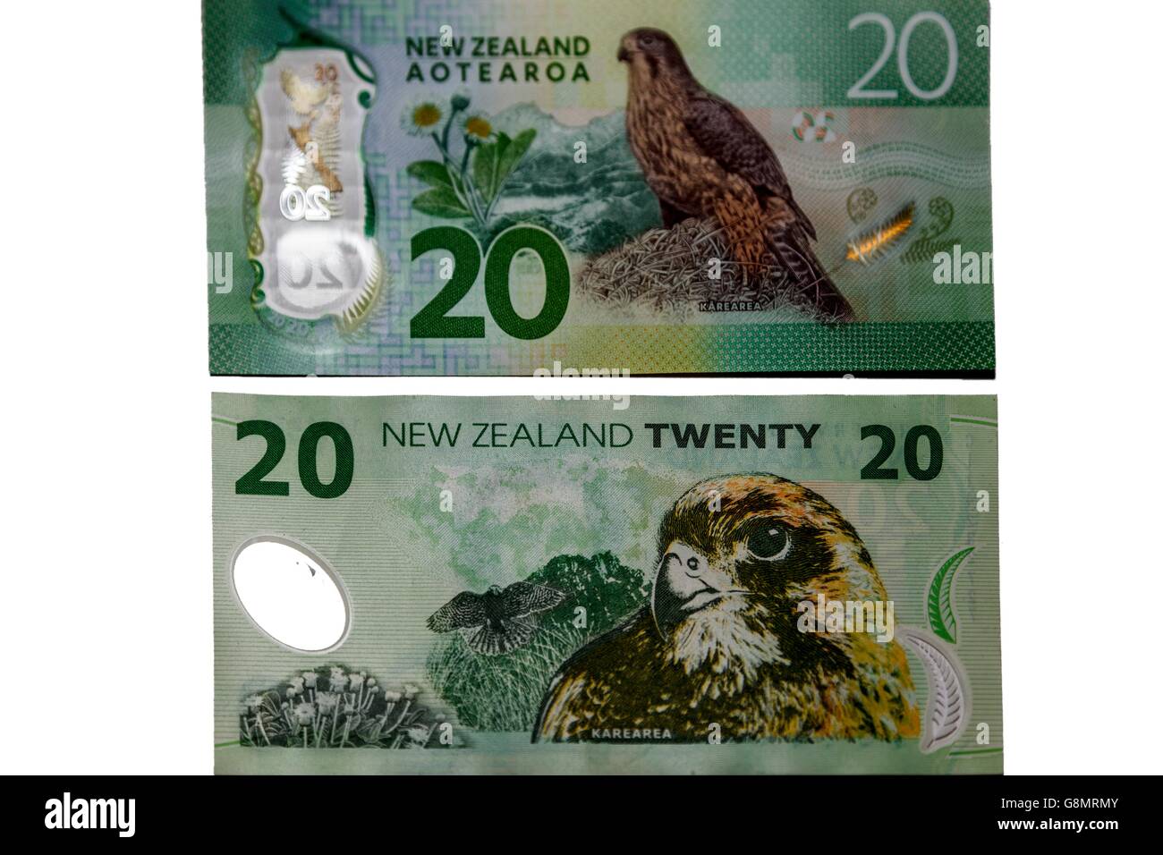 Ersten und zweiten Generation Plastikpolymer New Zealand green zwanzig-Dollar-Banknoten, Rückseite mit NZ Falke Vogel Stockfoto