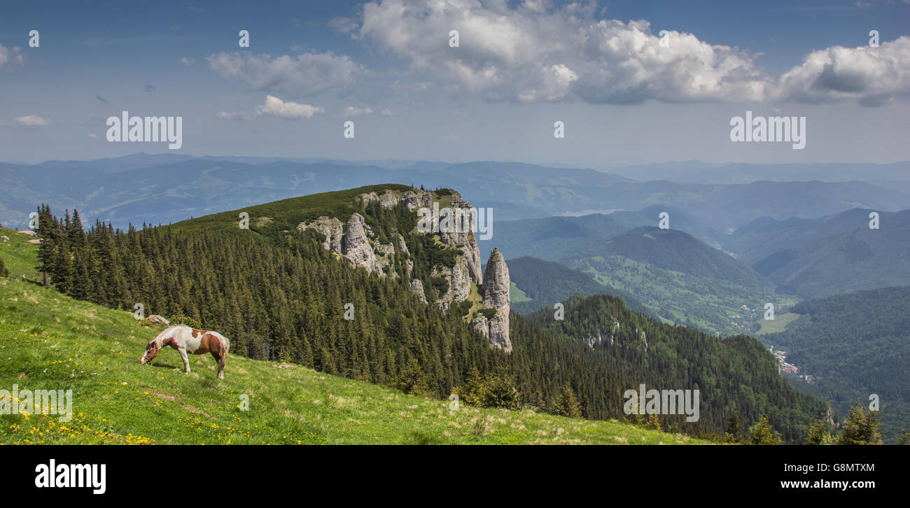 Panorama der Karpaten in der Nähe von Ceahlau, Rumänien Stockfoto