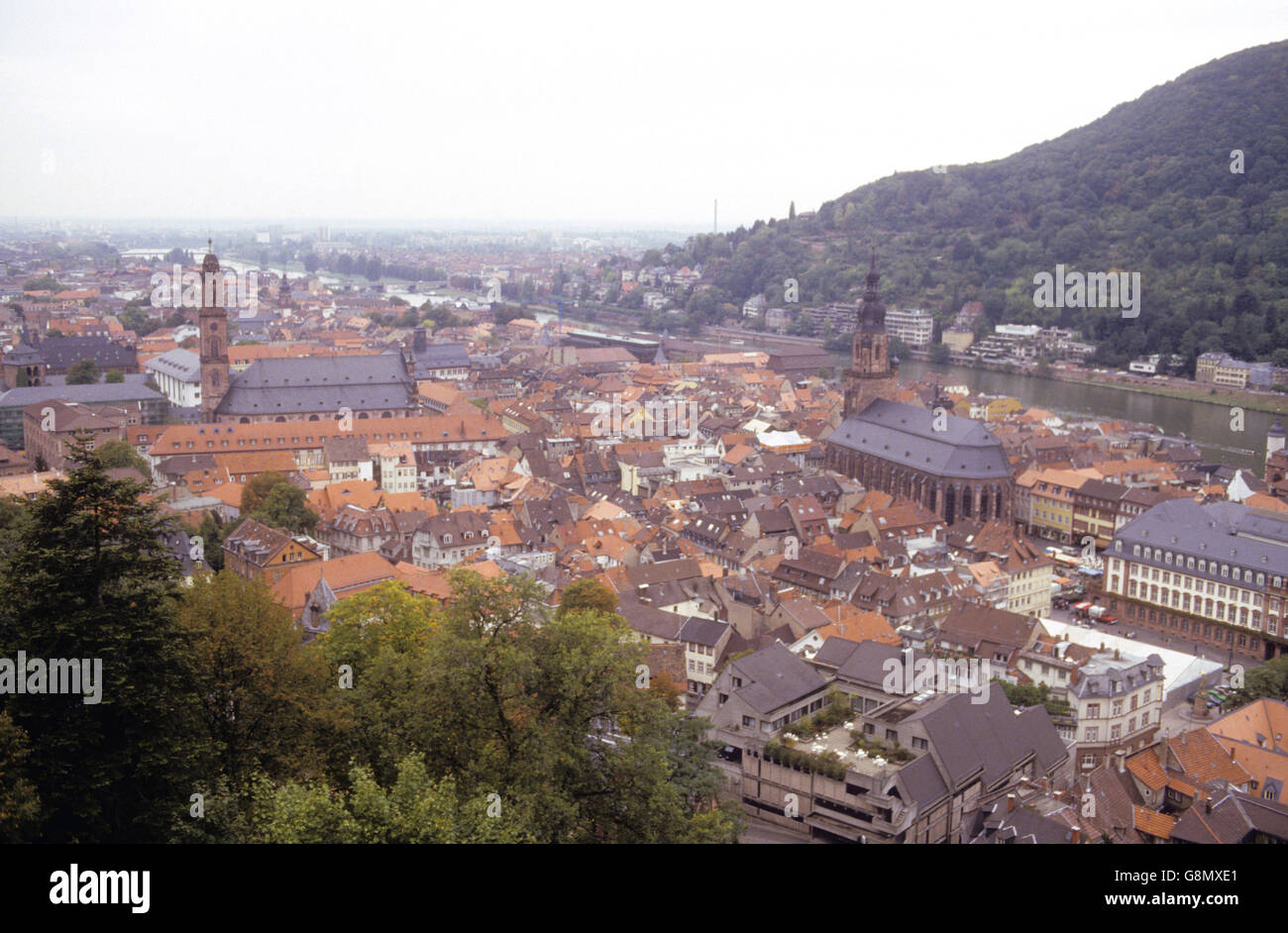 Die Stadt am Neckar Stockfoto