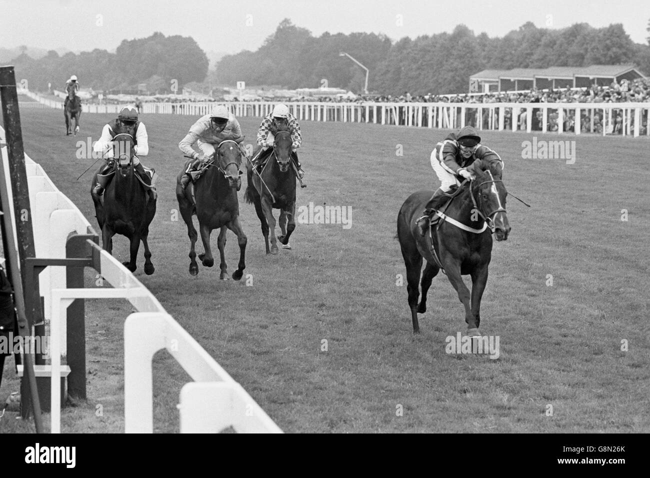 Königliche Heldin (r), P Robinson up, kommt nach Hause, um von Henry's Secret (l), Walter Swinburn up und Bright Crocus (zweite l), Lester Piggott up zu gewinnen Stockfoto