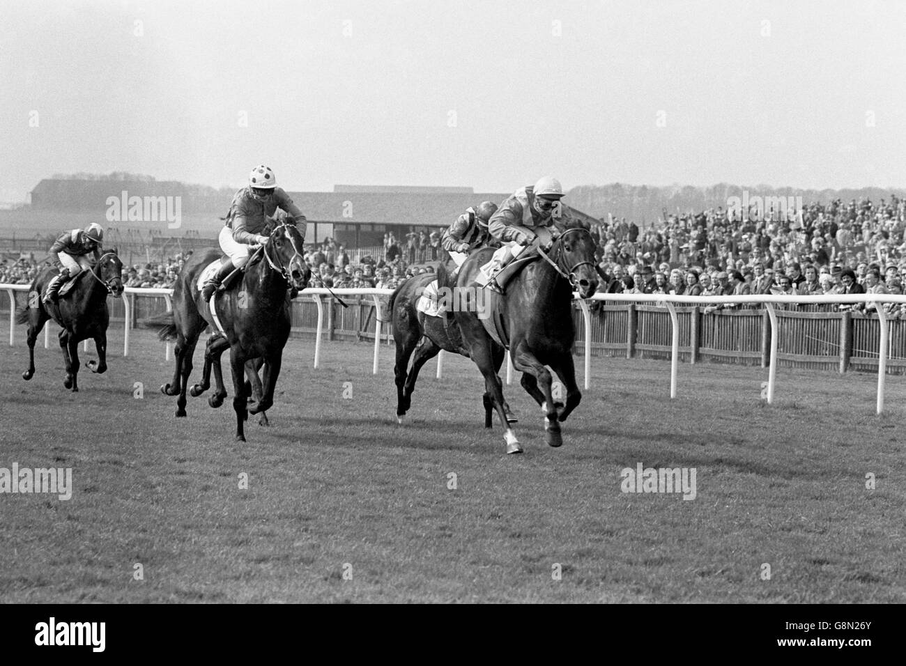 MA Biche (r), Freddie Head Up, gewinnt von Royal Heroine (l), Walter Swinburn Up Stockfoto