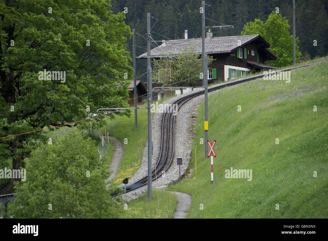Streckenabschnitt Zahnradbahn. (Berner Oberland, Schweiz) Stockfoto