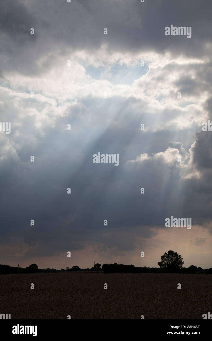 Bedrohliche Wolken über dem Brodtener Ufer, Küste, Spa Ostseebad Travemünde, Bucht von Lübeck, Schleswig-Holstein Stockfoto