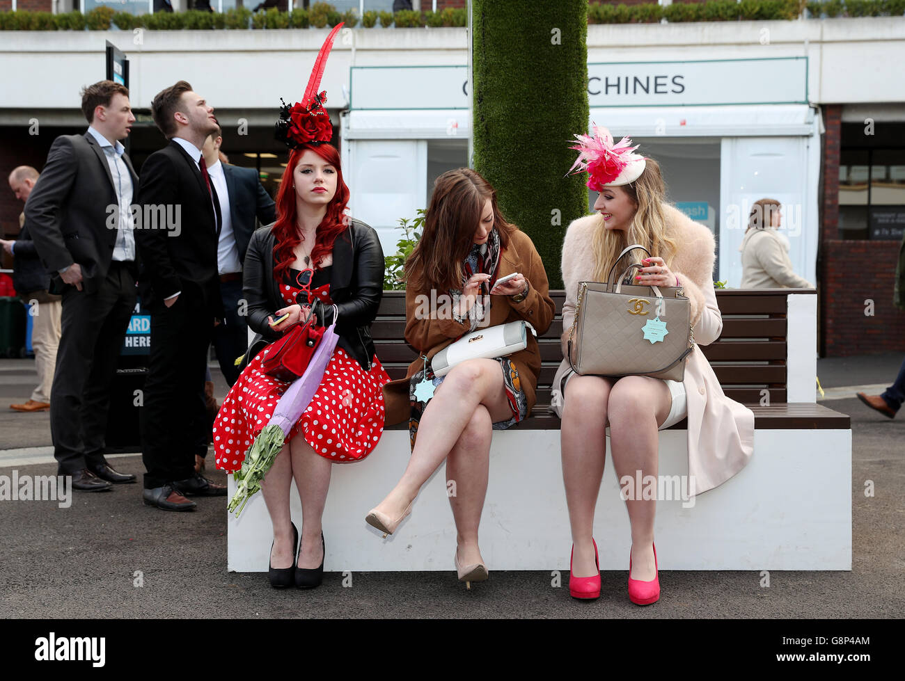 Weibliche Rennfahrerinnen während des Ladies Day des Cheltenham Festivals 2016 auf der Cheltenham Rennbahn. Stockfoto