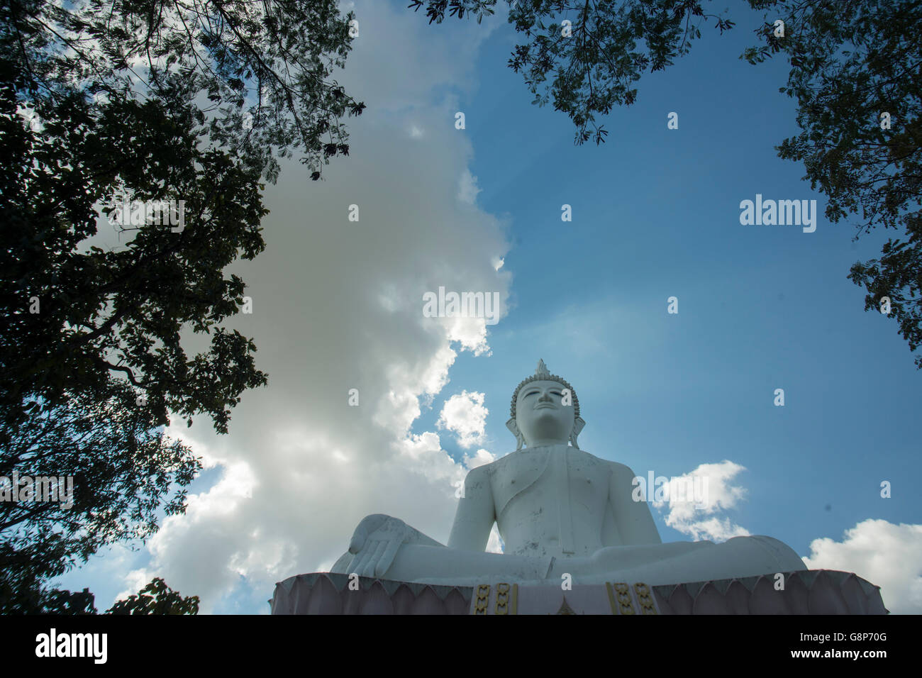 der Big Buddha an der Wat Khao Phanom Sawai in der Nähe der Stadt Surin im Isan in Thailand. Stockfoto