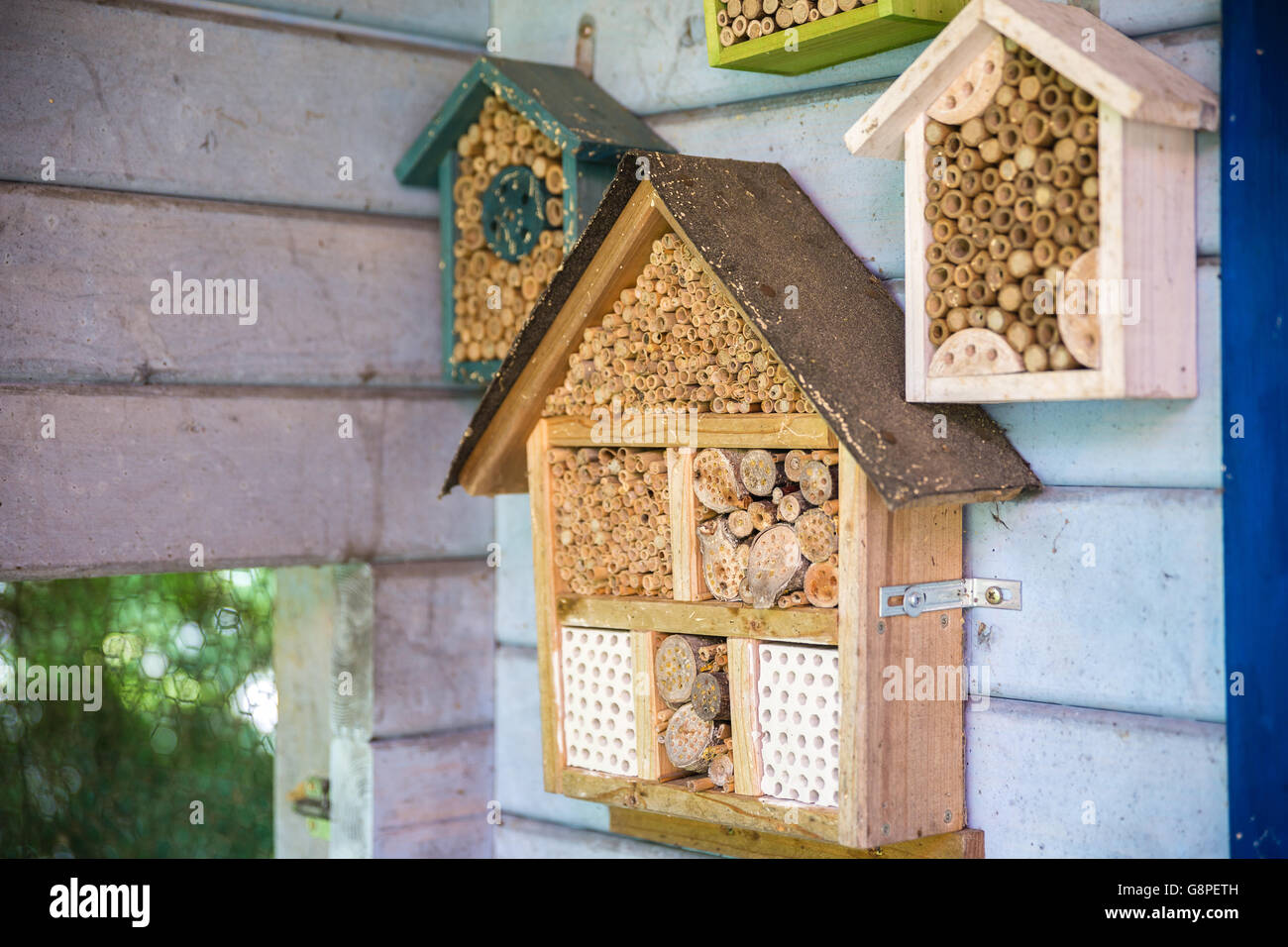hölzerne Lacewig Haus für Bienen Stockfoto