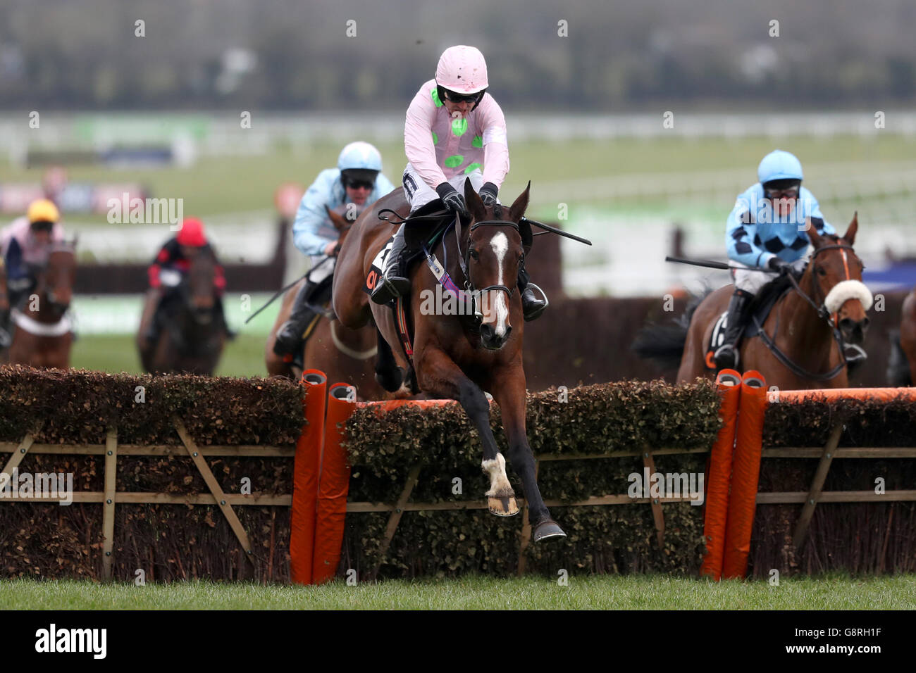 Vroum Vroum Mag wird von Ruby Walsh gefahren und gewinnt die OLBG Mares' Hürde beim Champion Day des Cheltenham Festivals 2016 auf der Cheltenham Rennbahn. Stockfoto