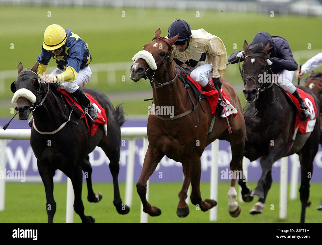 Rennsport Curragh Stockfoto