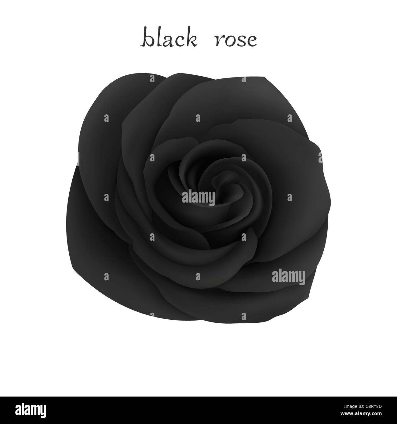 Schwarze rose Stock Vektor