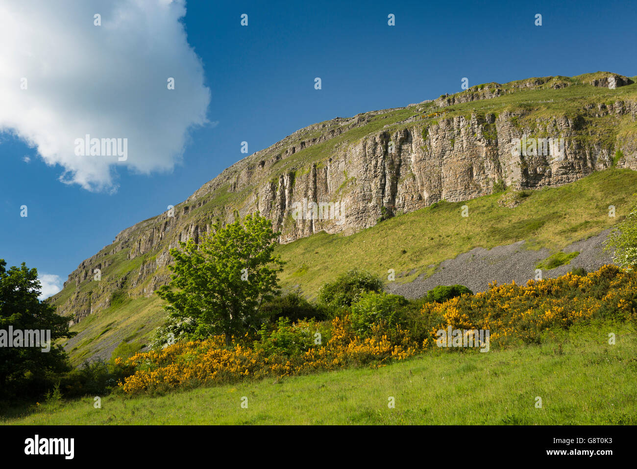 Irland, Co. Sligo, Strandhill, Böschung am westlichen Rand des Knocknarea Mountain Stockfoto