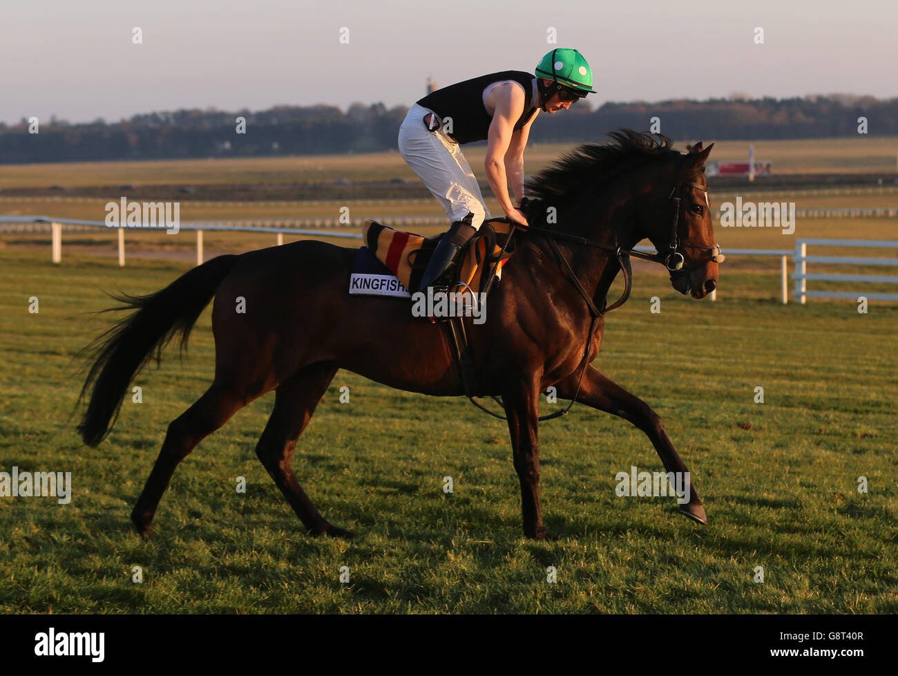 Billy Lee nimmt Kingfisher vom Coolmore Stud mit auf einen Galopp nach dem Rennen auf der Curragh Racecourse, County Kildare. DRÜCKEN Sie VERBANDSFOTO. Bilddatum: Sonntag, 20. März 2016. Siehe PA Story RACING Curragh. Bildnachweis sollte lauten: Niall Carson/PA Wire. Stockfoto