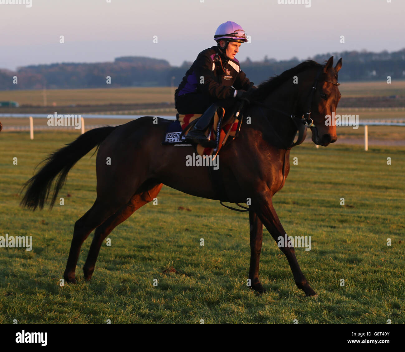 Colm O'Donoghue holt Seventh Heaven von Coolmore Stud auf einem Galopp nach dem Rennen auf der Curragh Racecourse, County Kildare. DRÜCKEN Sie VERBANDSFOTO. Bilddatum: Sonntag, 20. März 2016. Siehe PA Story RACING Curragh. Bildnachweis sollte lauten: Niall Carson/PA Wire. Stockfoto