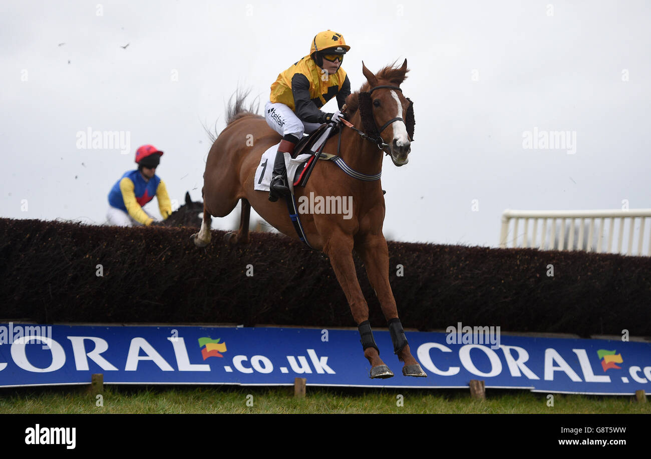 Laut Sarah von Victoria Pendleton geritten springt der erste Zaun in der Jeremy Swan Kimblewick Jagd Mitglieder, sucribers und Farmers Race auf Kimblewick Racecourse. Stockfoto