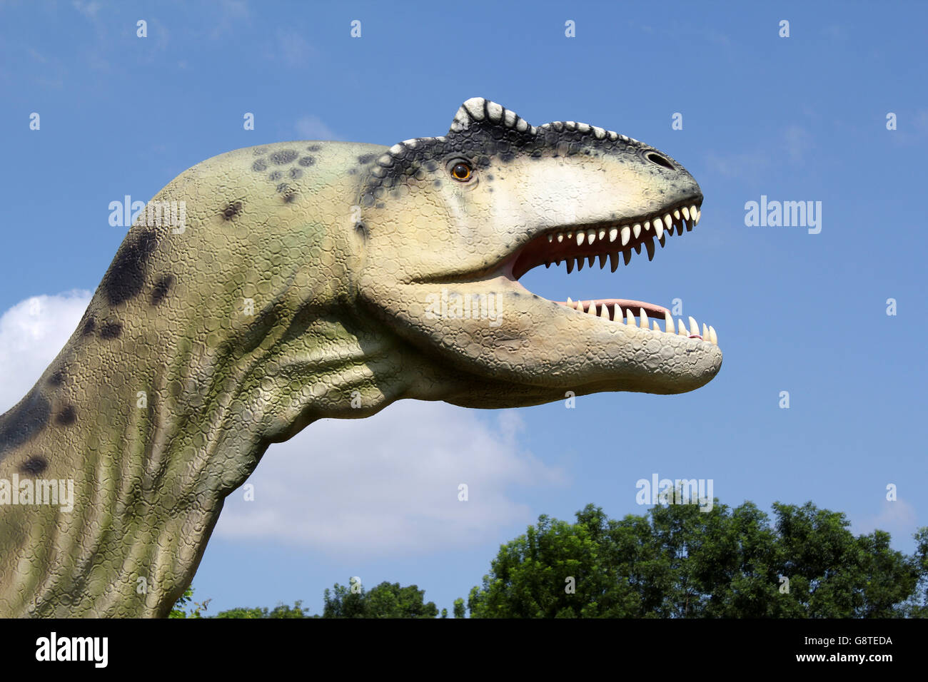 t-Rex Dinosaurier-Kopf Stockfoto