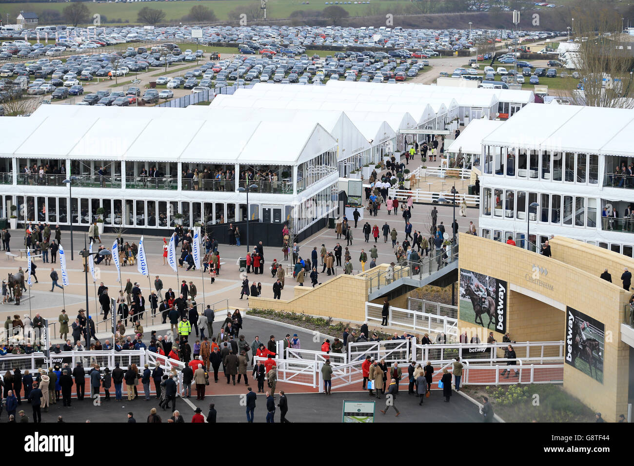 2016 Cheltenham Festival - Ladies Day - Cheltenham Racecourse Stockfoto